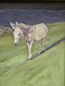 A very white donkey 